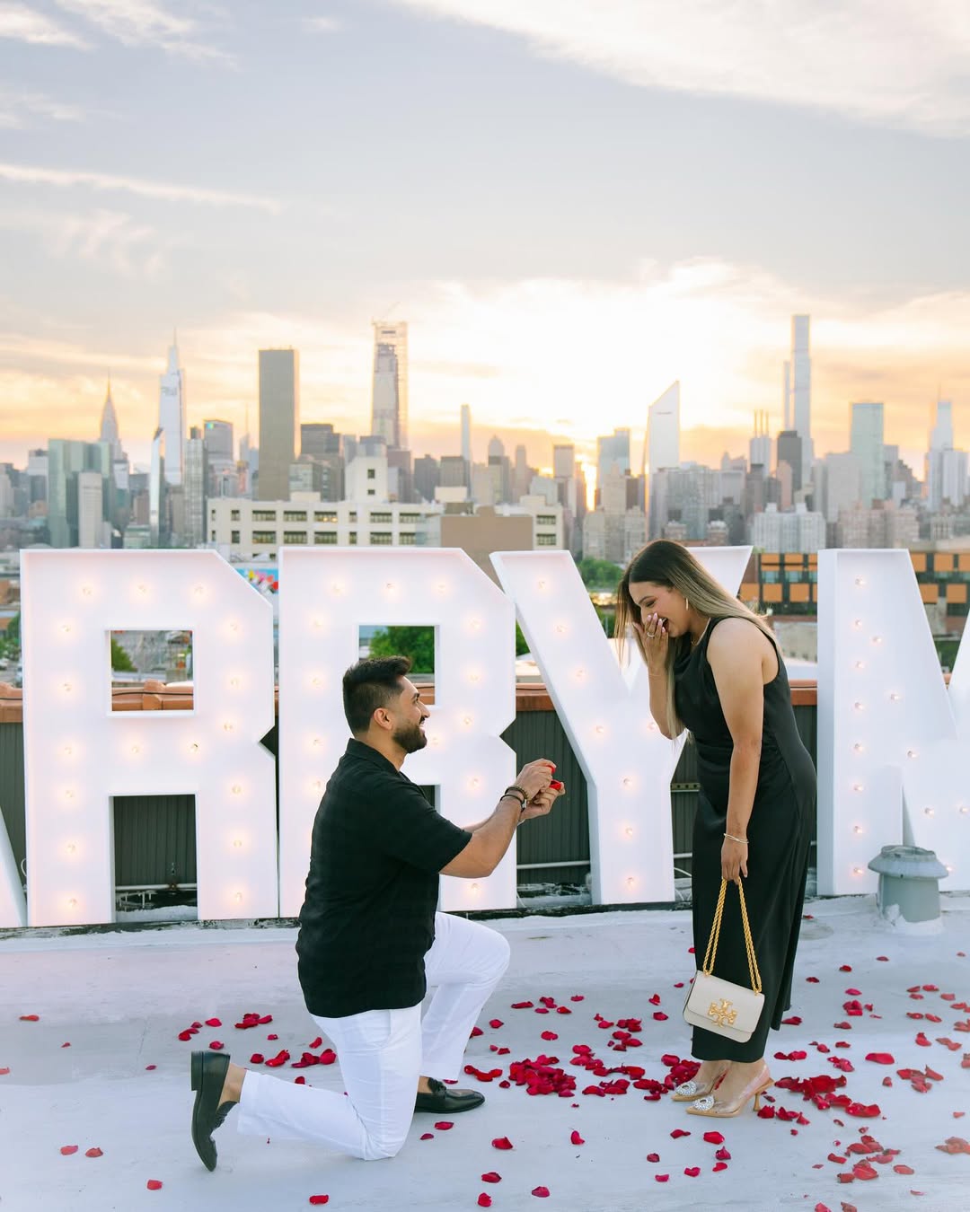 Rooftop Proposal in New York City