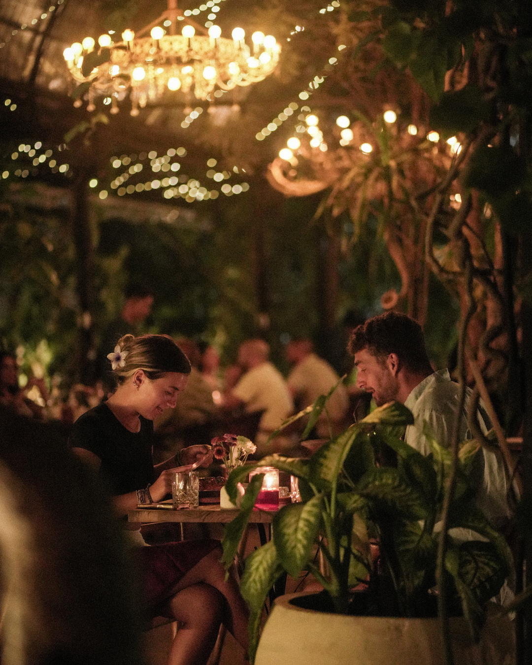 Romantic Dinner Party