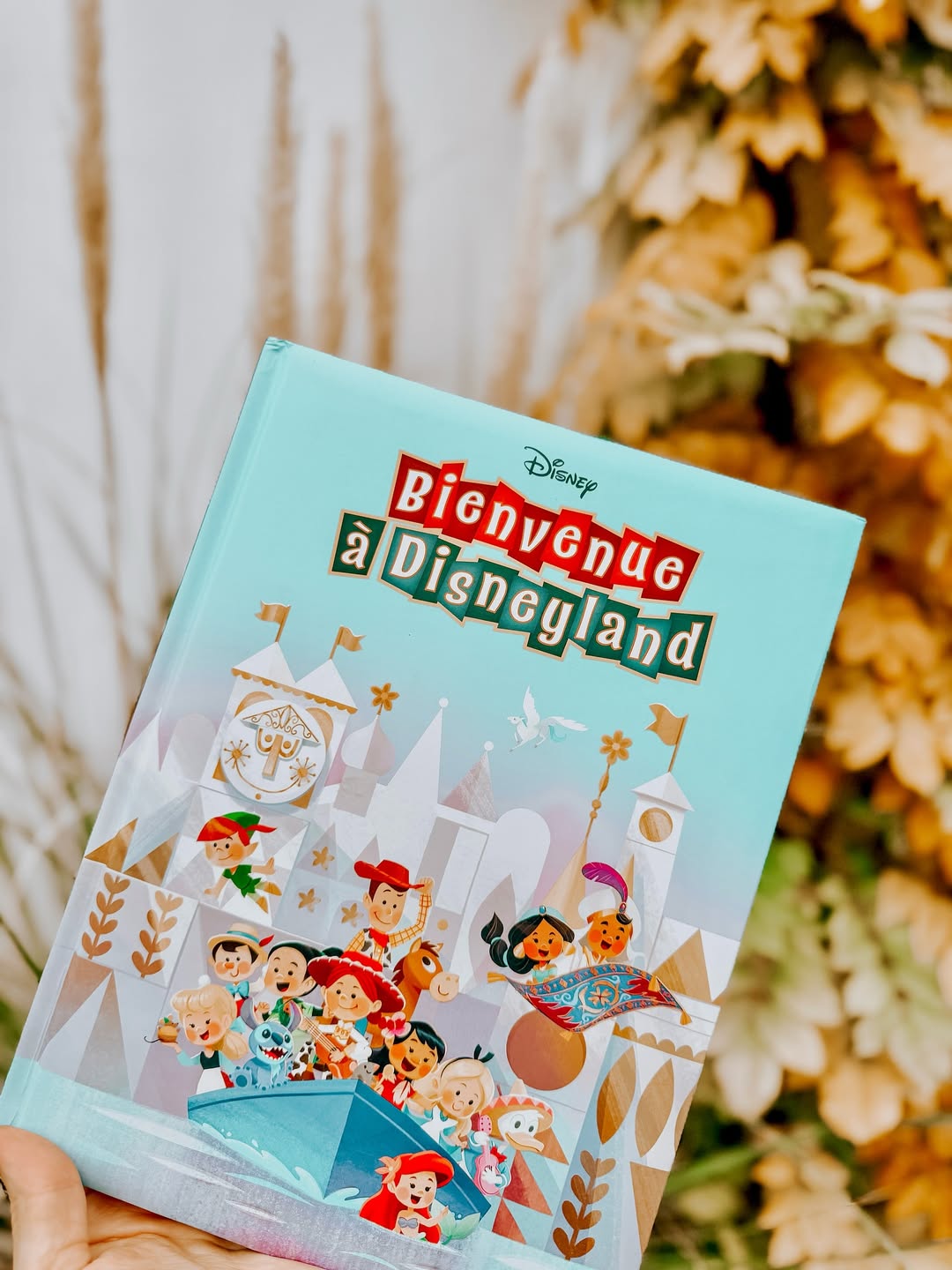 Storybook Theme