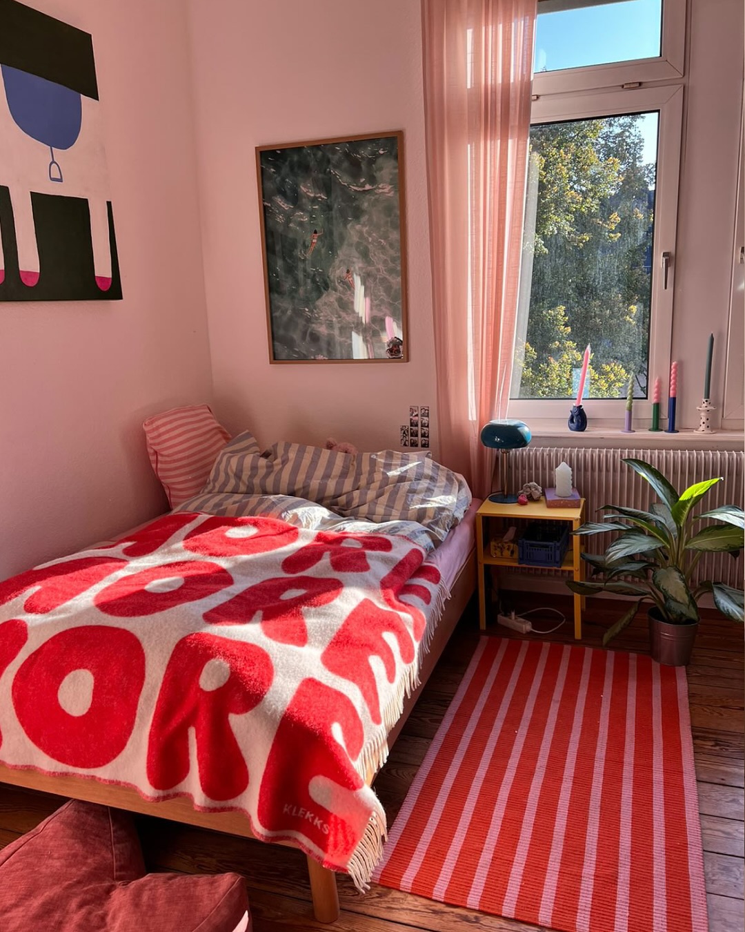 Throw Blanket & Cushion Set