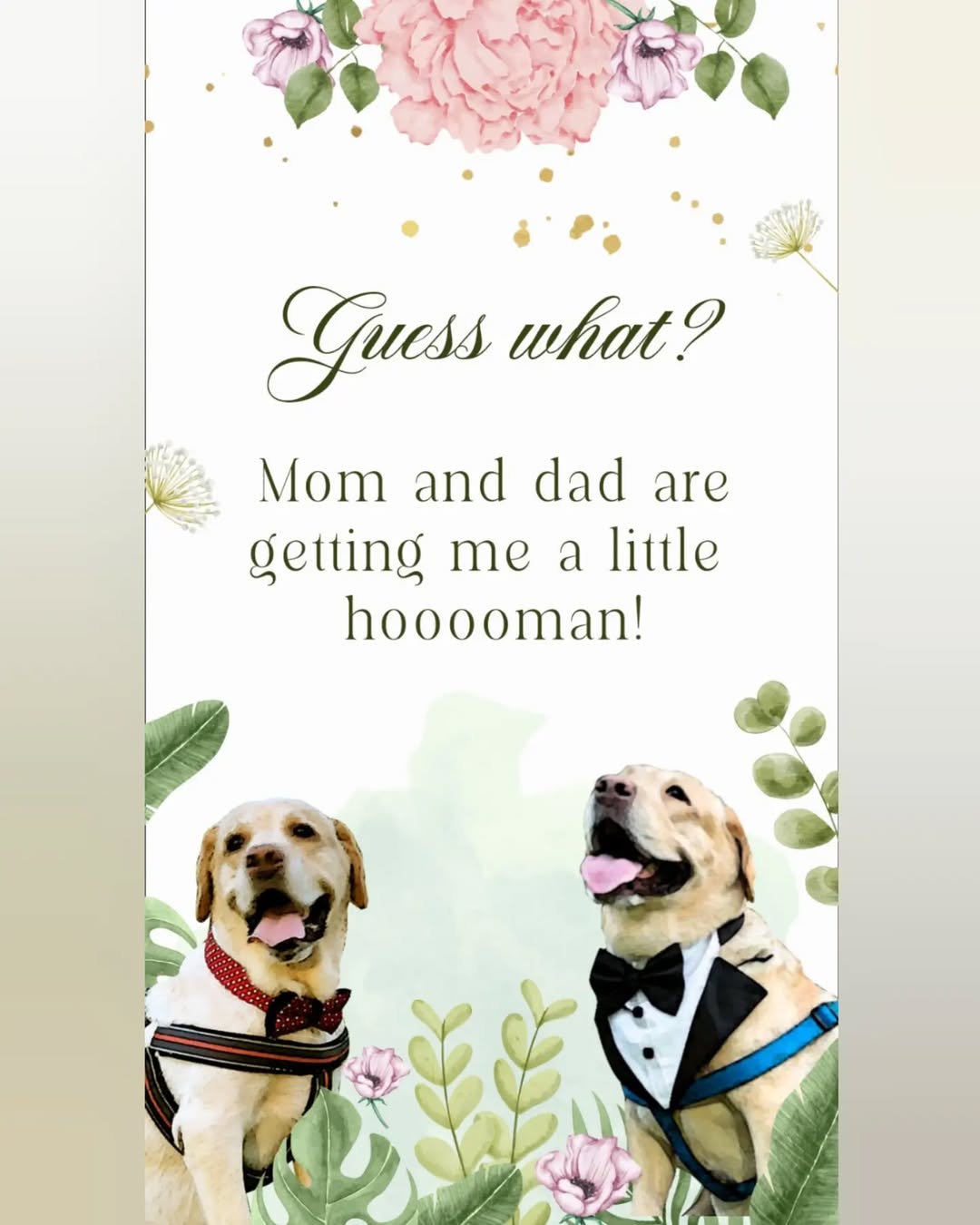 Mom or Dad Guess